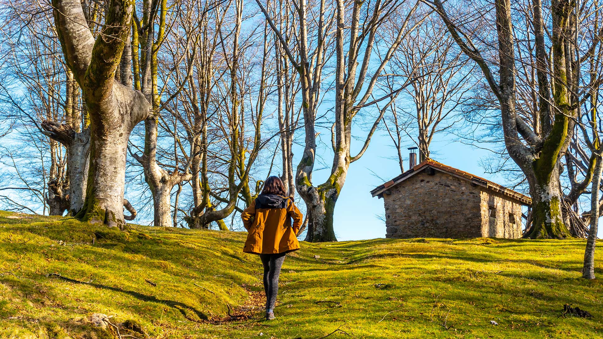 Trekking Weekend in the Alps of Piedmont and Valle d'Aosta with an overnight stay in a mountain hut