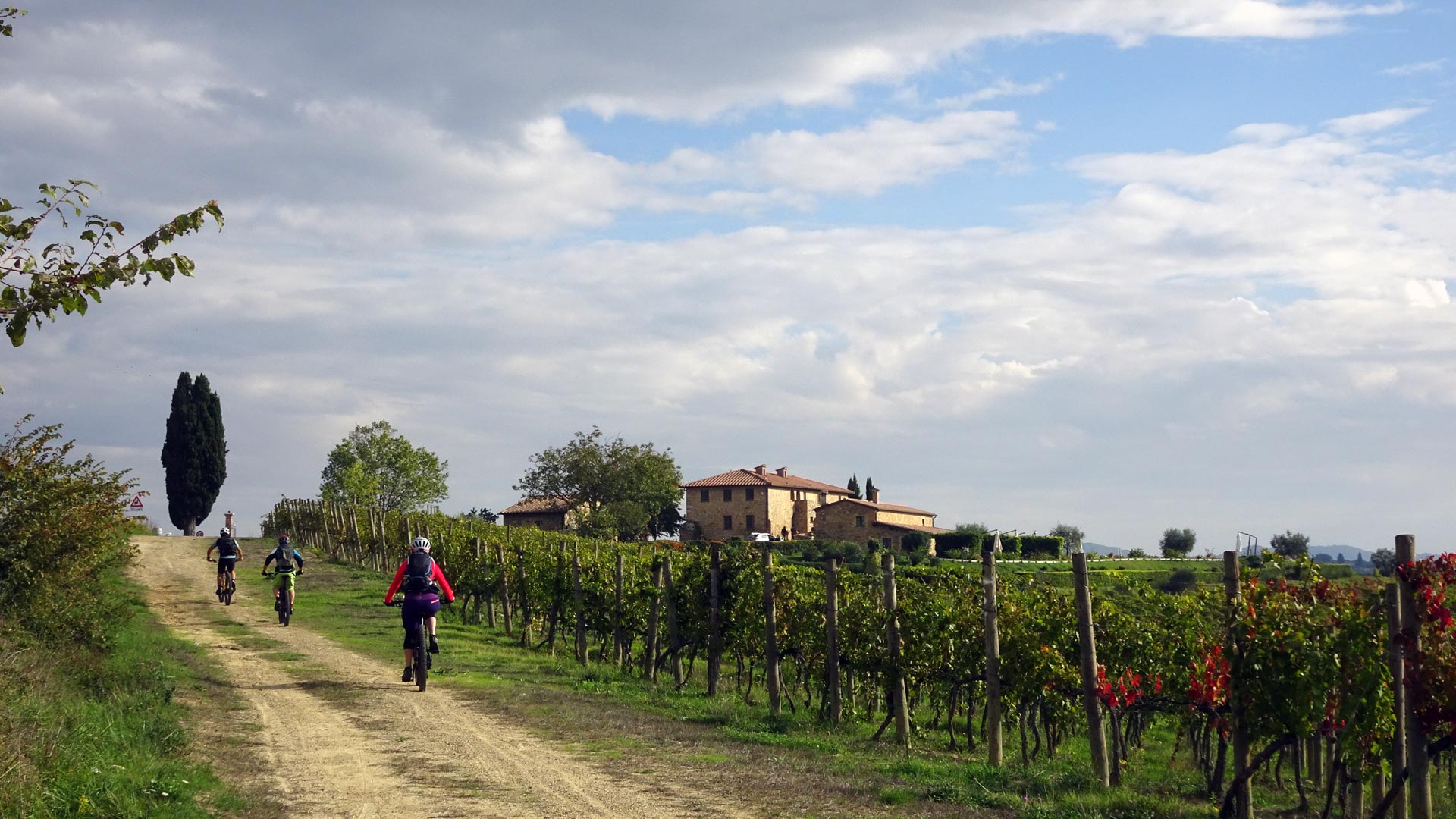 Group Tour in Mountain bike or eMTB: of Crete Senesi, Chianti, Val d'Orcia