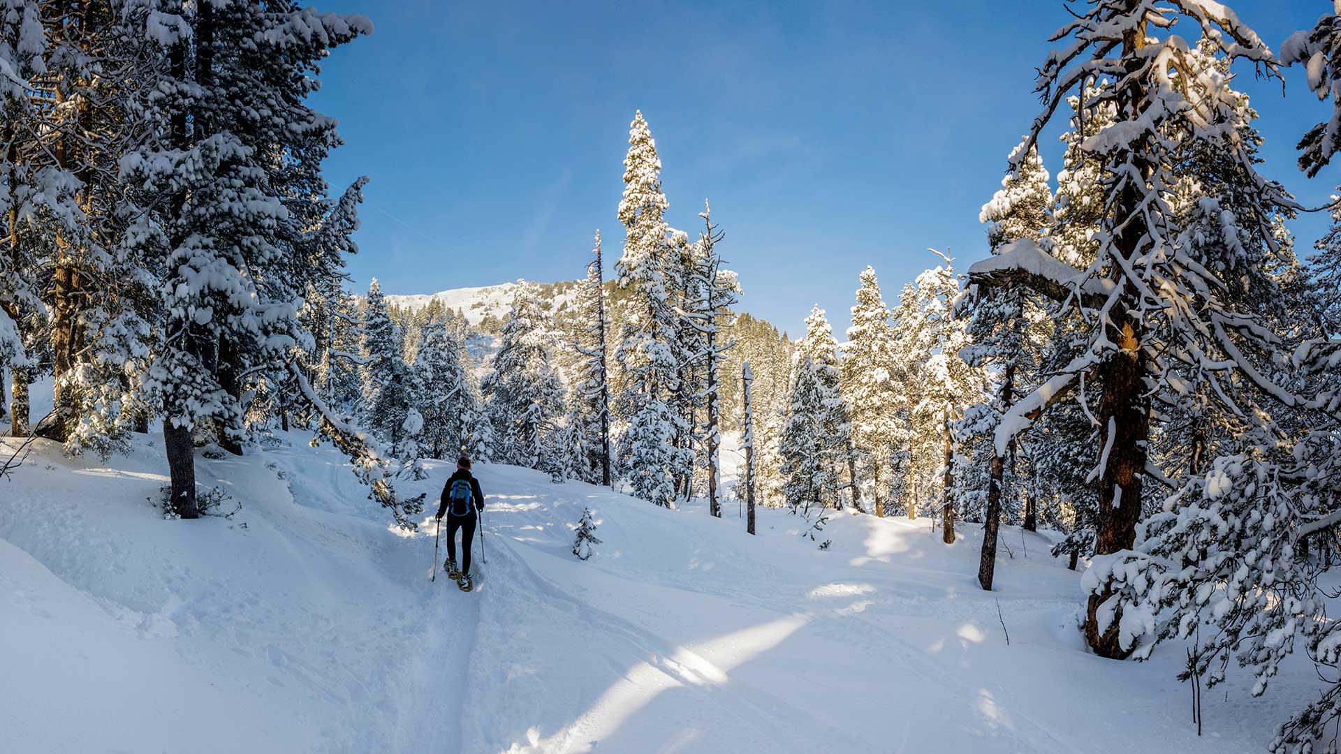 Snowshoeing weekend in Saint-Barthélemy