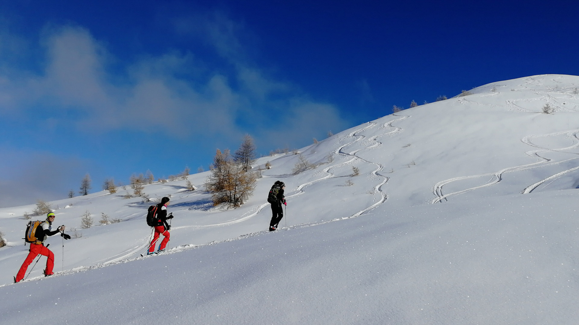 Ski touring Group Excursions for newbies