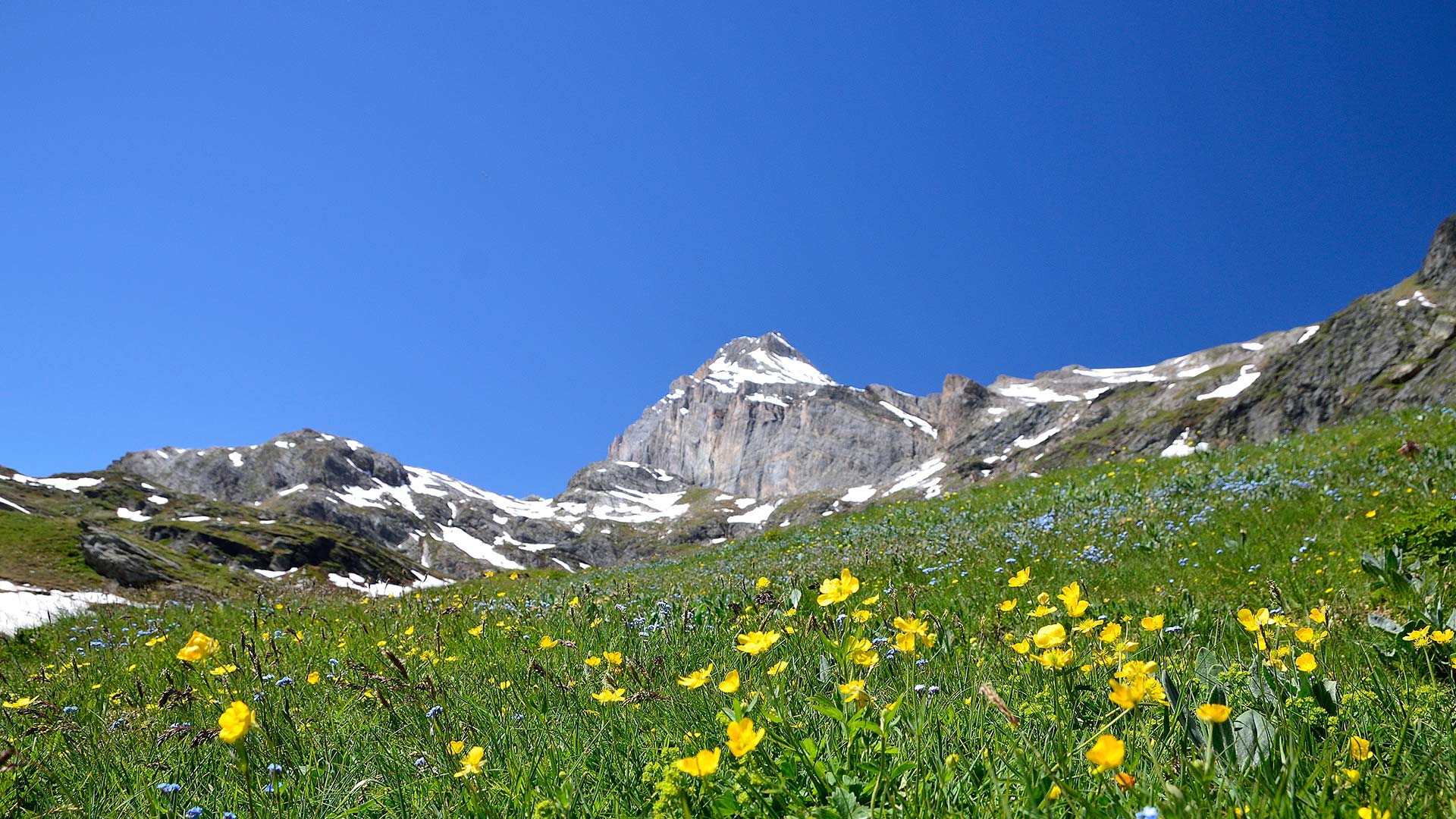 Gran Paradiso National Park Trail Running Tour
