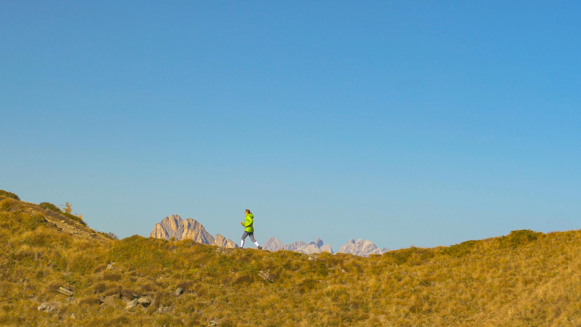Dolomites: Lagorai Alps Trail Running Tour